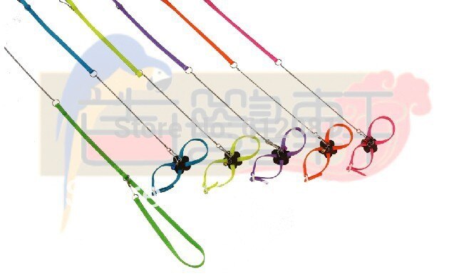 Justerbar papegøje fuglesele til fugle træningssnor, der spiller 6 fluorescerende farver, et sæt sælges