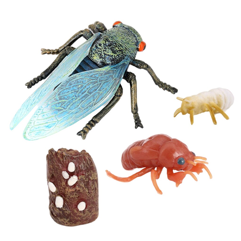 Figuras de ciclo de vida de 4 piezas, juguete educativo de insectos de plástico, modelo auténtico pintado a mano
