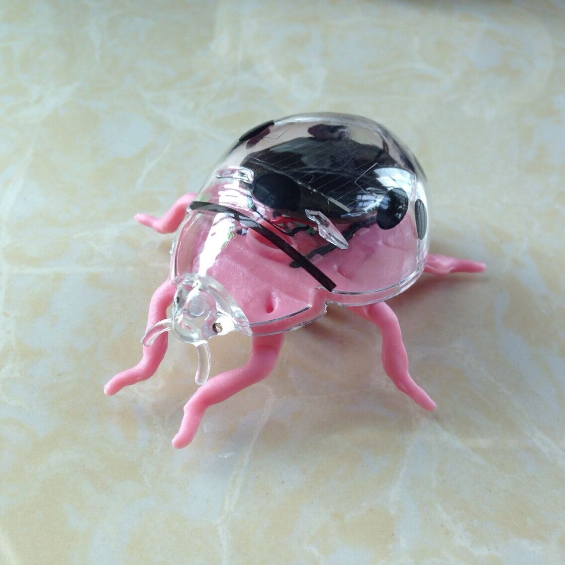 Solar Imitation Insect Toys Ant Car Butterfly Cockroach grasshopper spider tortoise no need Battery Can run Funny ladybug toys: ladybug color random