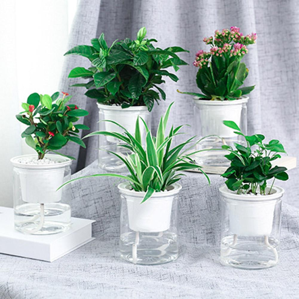 Clear Automatic Water Absorption Self Watering Hydroponic Flower Pot Planter Flower Pot