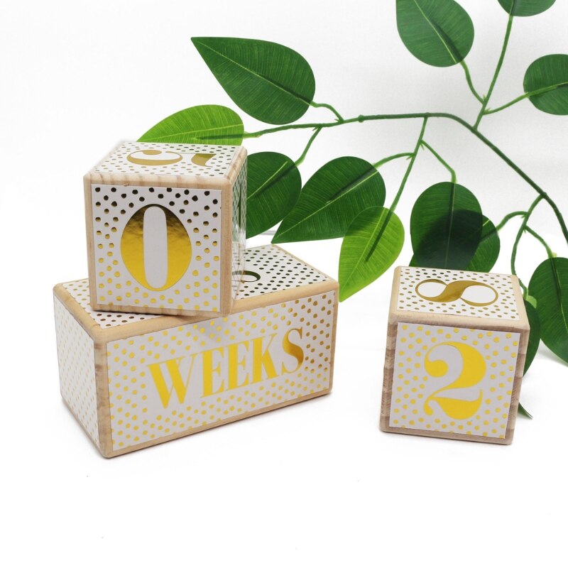1 Set Baby Age & Moments Pine Wooden Blocks Newborn’s First Year Memories Photography Photo Age Card Month Sticke