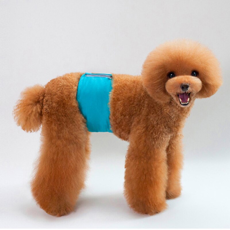 Couche réutilisable pour chien, sous-vêtement en coton, accessoire hygiénique pour animal de compagnie