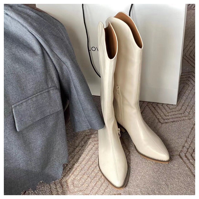 Herfst cowboylaarzen voor dames, hoge hakken, laarzen voor dames, western cowgirl laarzen, rits, halfhoge dikke sleehakken, winterlaarzen: Beige / 8.5
