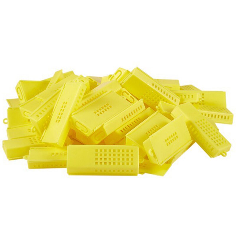 Ferramentas de transporte de apicultura, gaiolas de abelha queen, abelha, colmeia amarela, gaiola isolada da apicultura, 100 peças