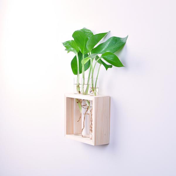 Glas reagensglas vase træramme - væghængende krystal hydroponisk beholder terrarium til blomster planter potte boligindretning