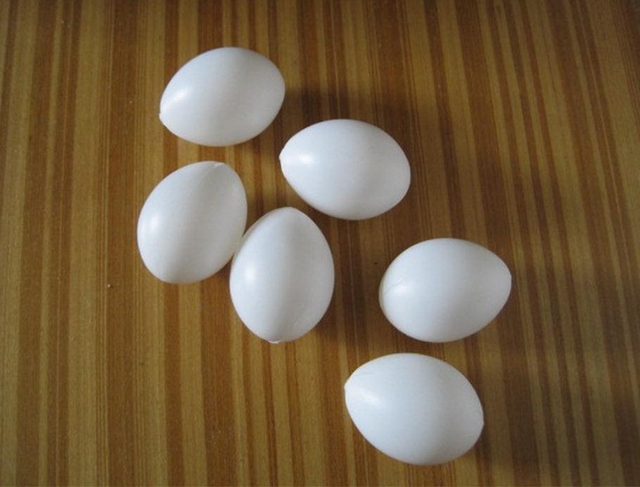 10 pc/lot Bird Supplies filled pigeon eggs pigeon supplies Cited pigeon eggs with plastic eggs 730