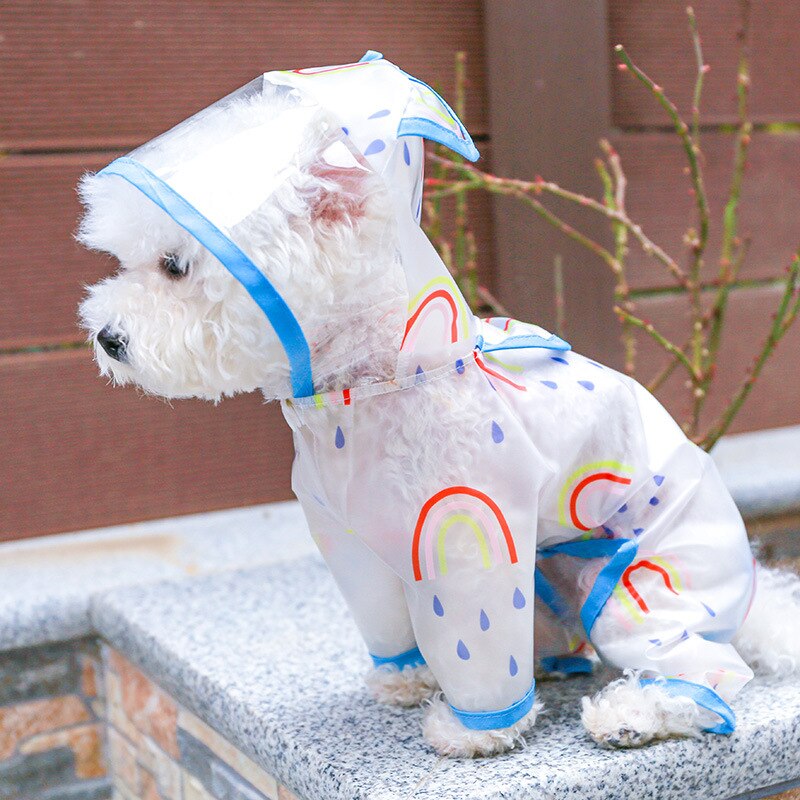 Dog Raincoat Transparent Waterproof Rainbow Rainwear Teddy Bear Small and Medium Raincoat for Dogs: Blue / S