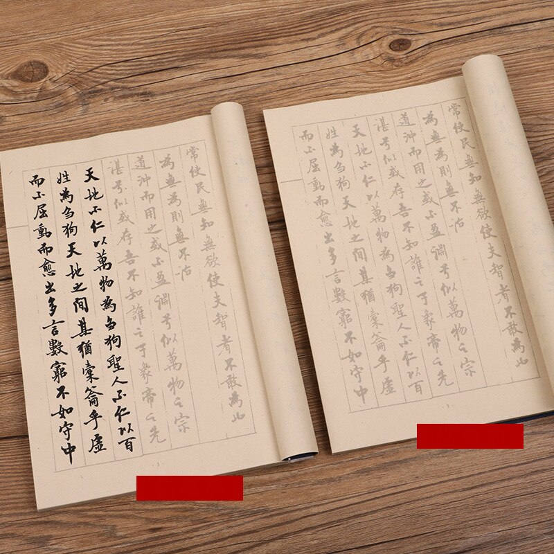 Brush Calligraphy Books Small Regular Script Calligraphie Copybook Adult Tao Te Ching Calligraphy Practice Xuan Paper Books