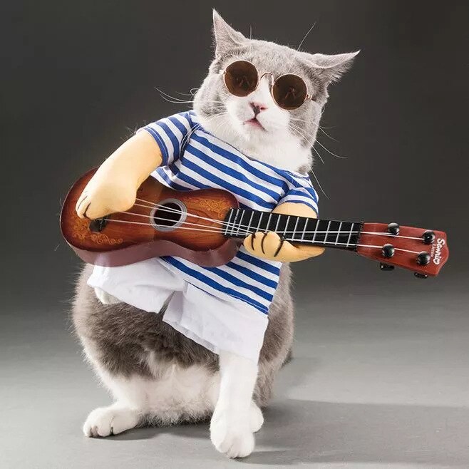 Costume de guitare pour animaux de compagnie, drôle de chanteur, chat, chiot, vêtements Cosplay pour Halloween, vêtements pour chiens, chemises fines d&#39;été, XHC88