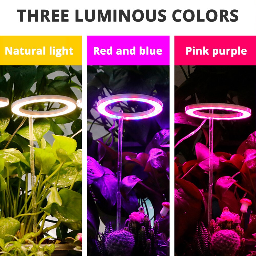 Luz LED anular para plantas, luz de crecimiento pequeño, atenuación de sincronización USB, adecuada para plantas de interior, luz suculenta para peceras
