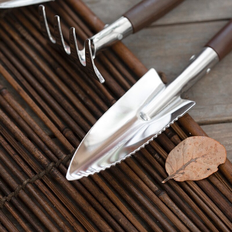 Mini juego de herramientas de jardinería con mango de resina, Mini pala de hierro, rastrillo, suculentas, suelo en maceta, aflojamiento, suministros de jardín para el hogar