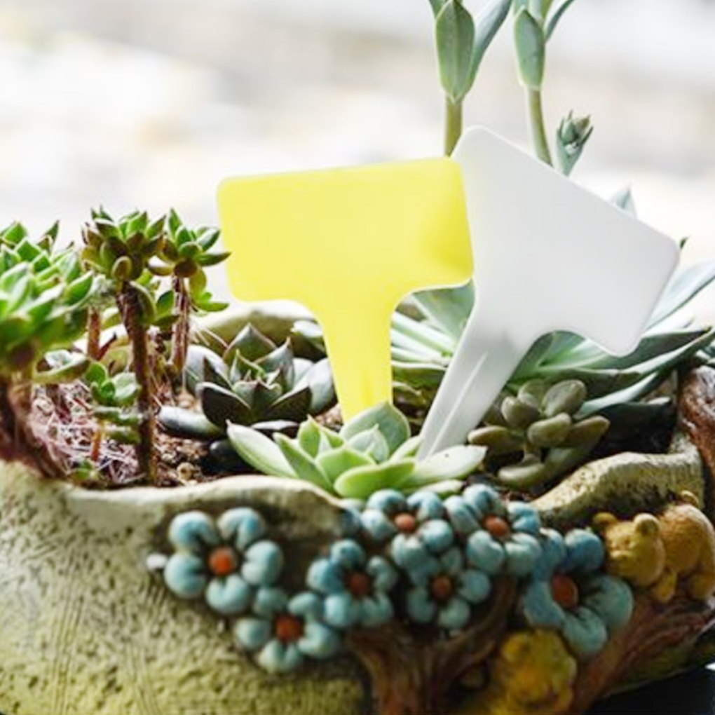 100Pcs Pp Plant Bloem Labels Yard Plant Tabs Nursery Tool Tuinieren Teken 10x6cm