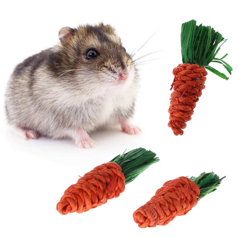 3 Stuks Wortel Vormige Konijn Hamster Chew Bite Speelgoed Cavia Gebitsreiniging Speelgoed