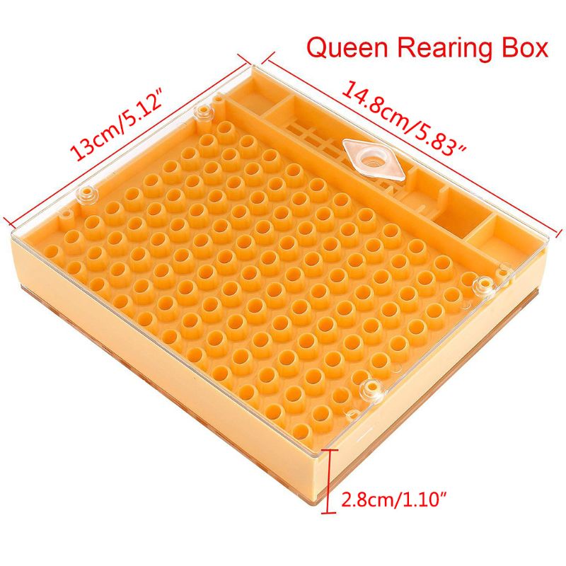 Caja de celda de cría de abejas reina, panales de plástico, jaula de abejas, equipo de apicultura de aislamiento