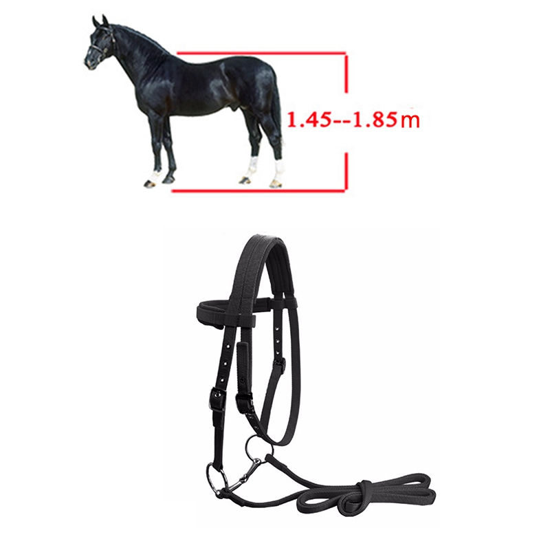 Práctico equipo ajustable de equitación cabestro con brida de caballo con Bit y correa de rienda para accesorios ecuestres de caballo suave Thi
