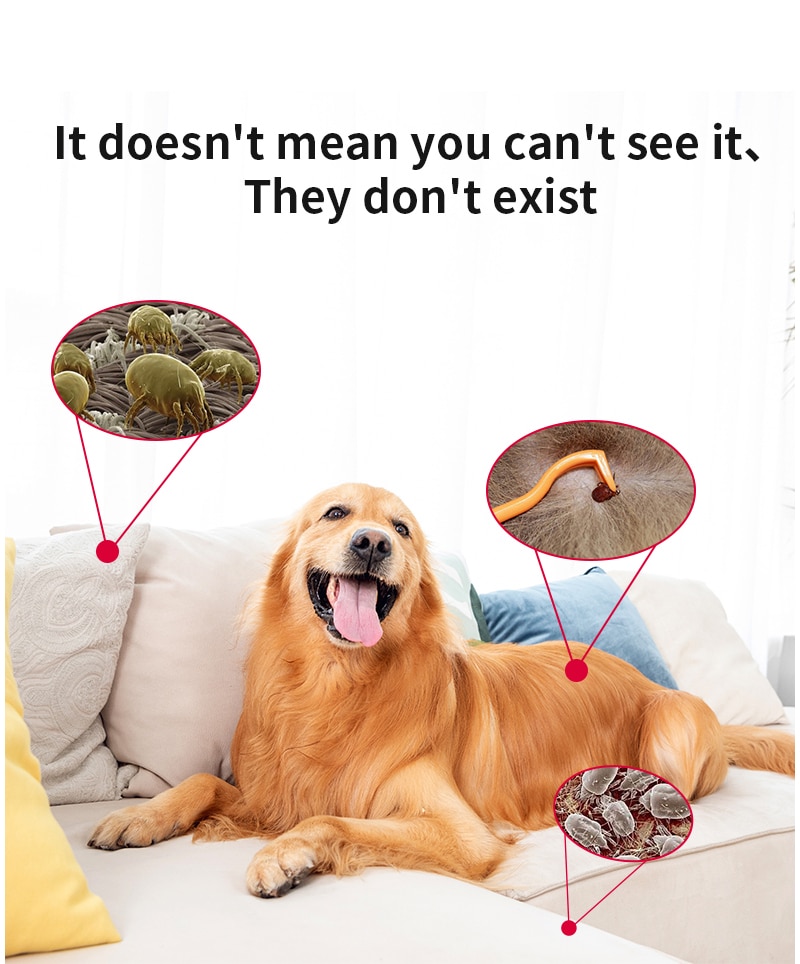 Universal Insect Repellent For Human Pets Intelligent Frequency Conversion Chip Ultrasonic Pest Repeller No Chemicals 100% Safe