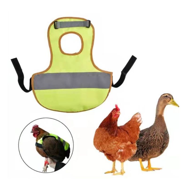 Gilets réfléchissants pour harnais de poulet | Avec ceinture assortie, confortable et respirant, 95AA