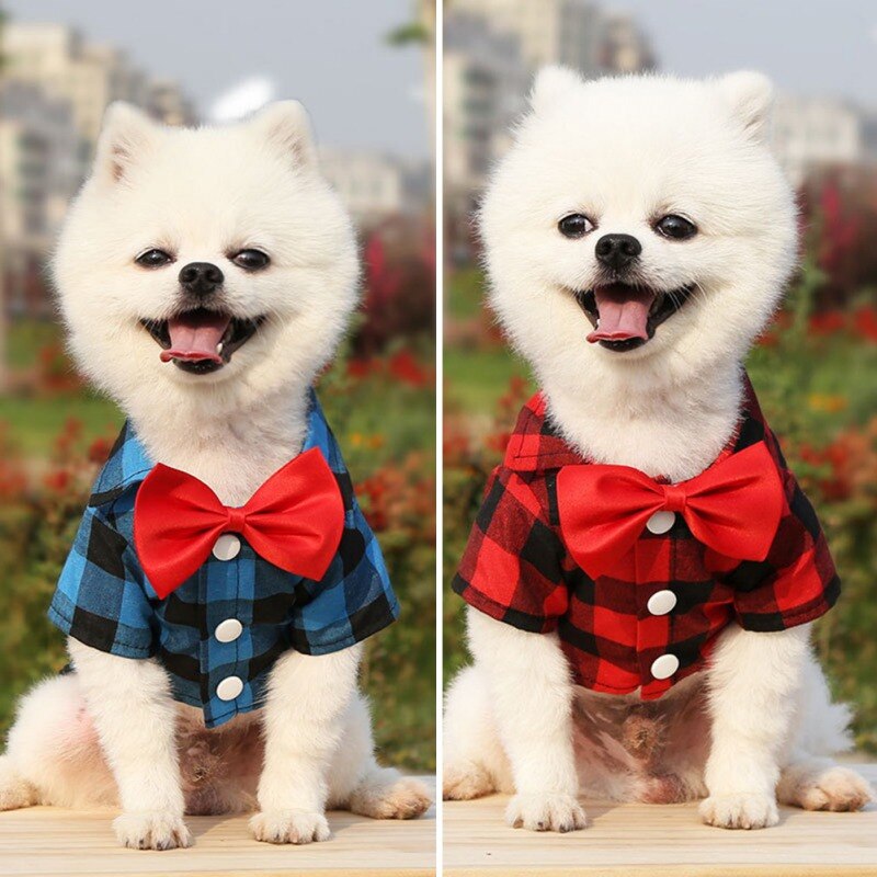 Costume à carreaux avec nœud papillon pour chien, T-Shirt d'été à manches courtes pour petit et moyen gabarit, Costume de mariage pour chiot