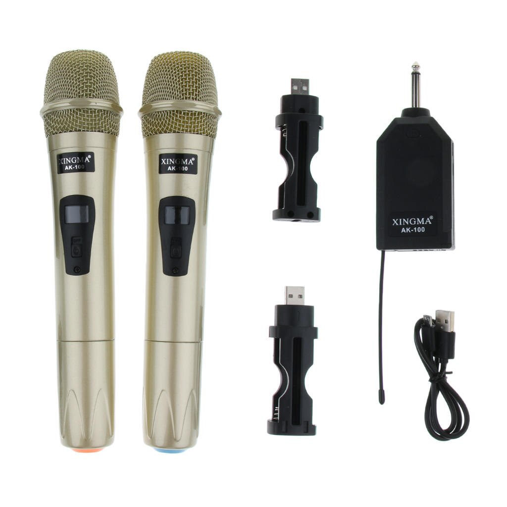 1 Set High Sensitivity Wireless Microphone Mic Mike w/ Receiver USB Cable