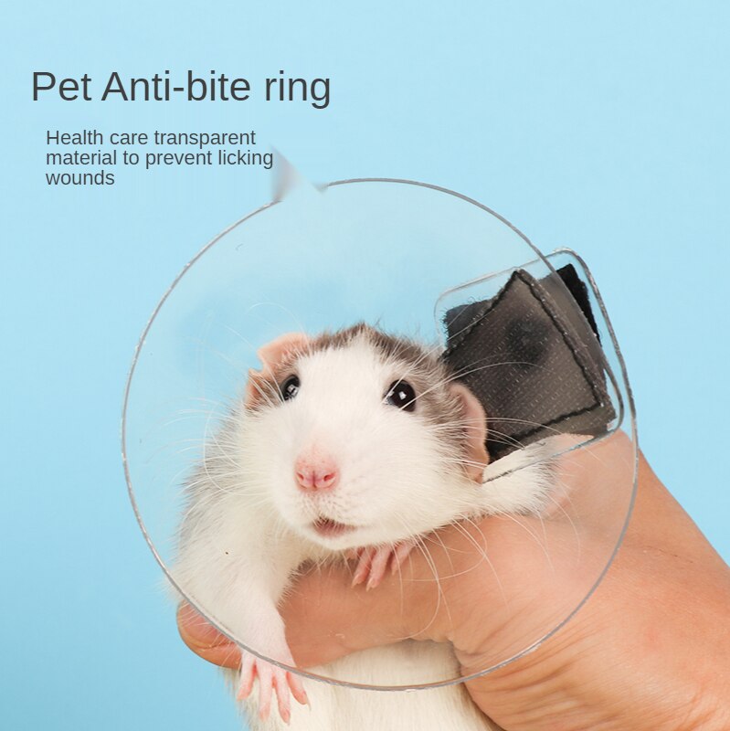 Małe zwierzę elżbietańskie koło miód szybowiec wiewiórka chomik anty-ugryzienie kołnierz przezroczyste i wodoodporne akcesoria dla chomików