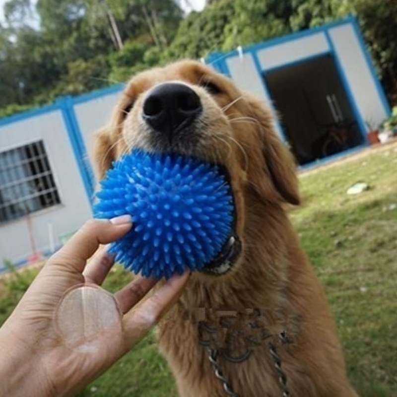 1 Uds. Juguete para hacer sonido, masaje de picadura suave, bola elástica, limpieza de dientes, entrenamiento TPR, dientes de mascota, masticar, bolas de espinillo, accesorios para mascotas