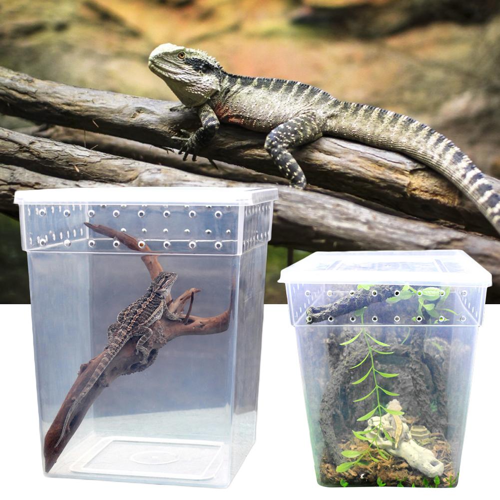 Reptiel Voerbox Transparante Pet Klimmen Case Voor Raising Dieren Spider Gecko Hoorn Kikker Snake Schorpioen Slang Voeden Case