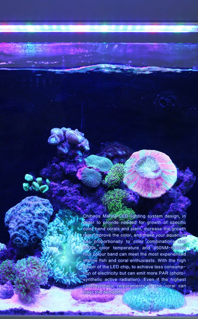 Chihiros – lampe LED Marine pour Aquarium, récif, réservoir, plante, eau de mer