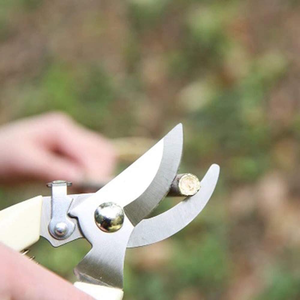 Tijeras de jardinería antideslizantes, tijeras de podar para injerto, herramientas de mano de acero inoxidable, herramientas para cortar árboles frutales, podadoras de bonsái, tijeras de podar