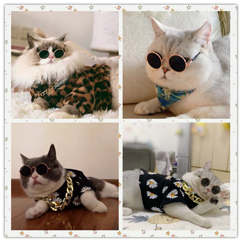 Cool Huisdier Kat Bril Hond Bril Dierbenodigdheden Kat Grappige Kitty Speelgoed Persoonlijkheid Teddy Hond Zonnebril Kleurrijke Hond Accessoires