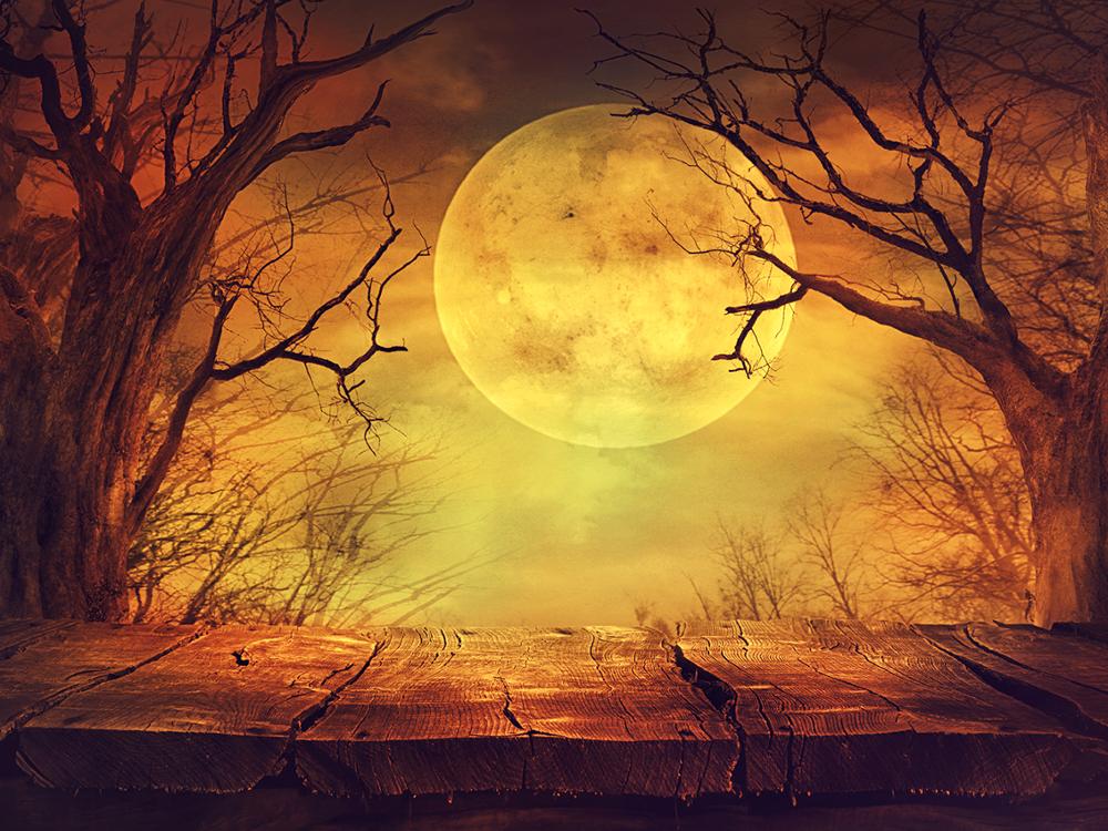 Photographic Backdrop - Halloween Wood Floor Moon Forest Kids Party - Vinyl - 220x150cm to 300x300cm