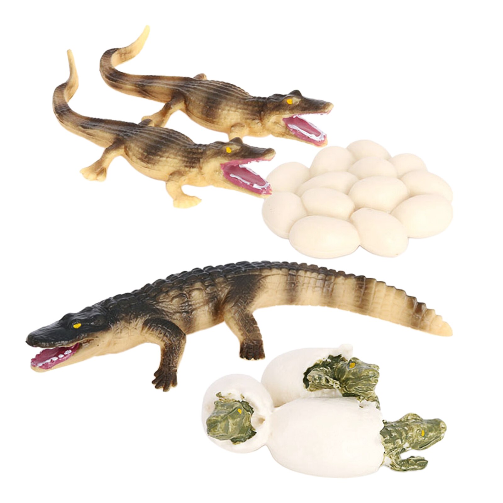 Simulatie Insect Dier Natuurlijke Onderwijs Speelgoed Voor Leren Pretend Play