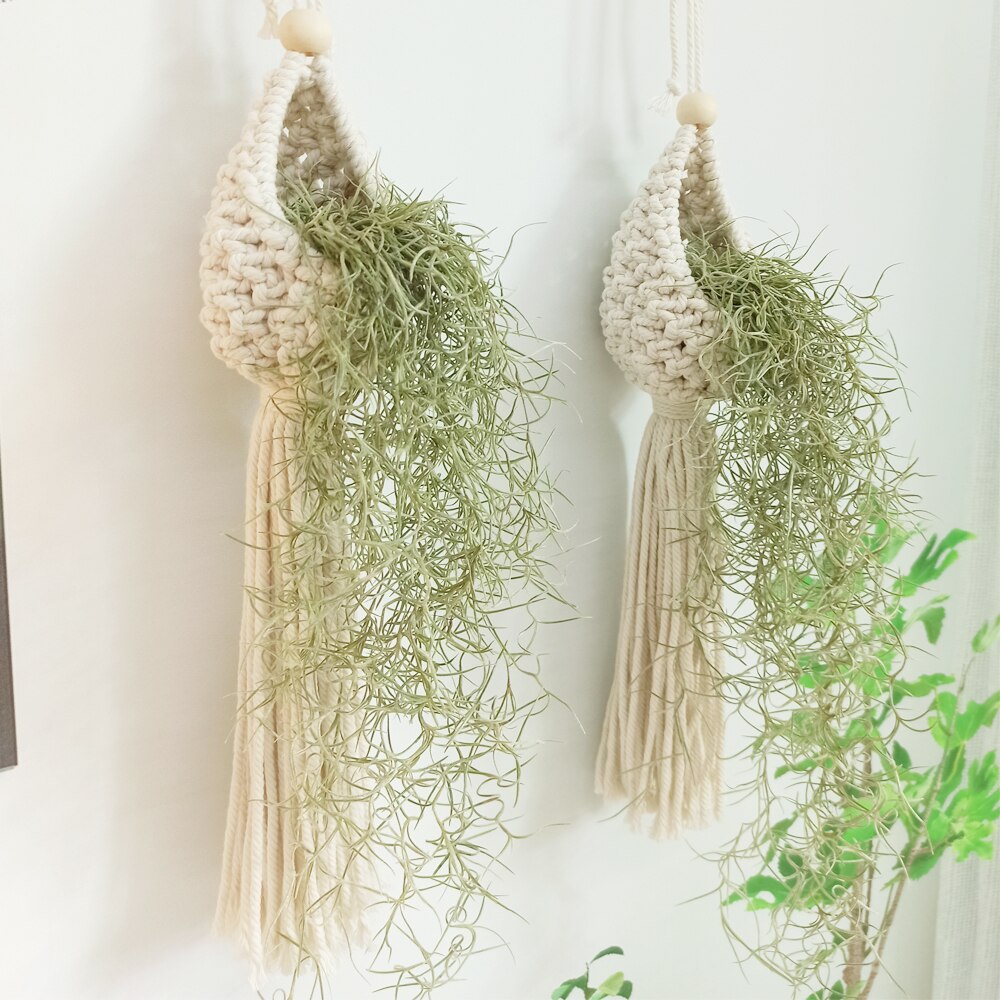 Soporte de macramé para plantas de aire, colgador para plantas de aire bonitas, Mini plantas suculentas, Tillandsia y plantas artificiales, tapiz de pared para decoración del hogar