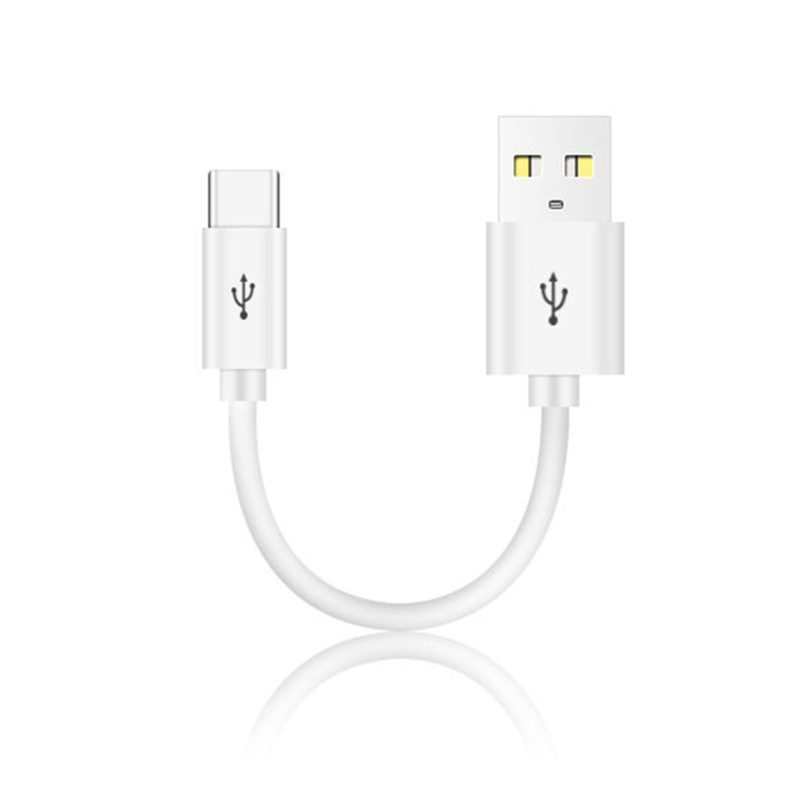 Câble USB vers Type-C court, charge haute vitesse, prise en charge du transfert de données pour téléphone, série 15 Smartphones, 10cm: WHITE / 11 m