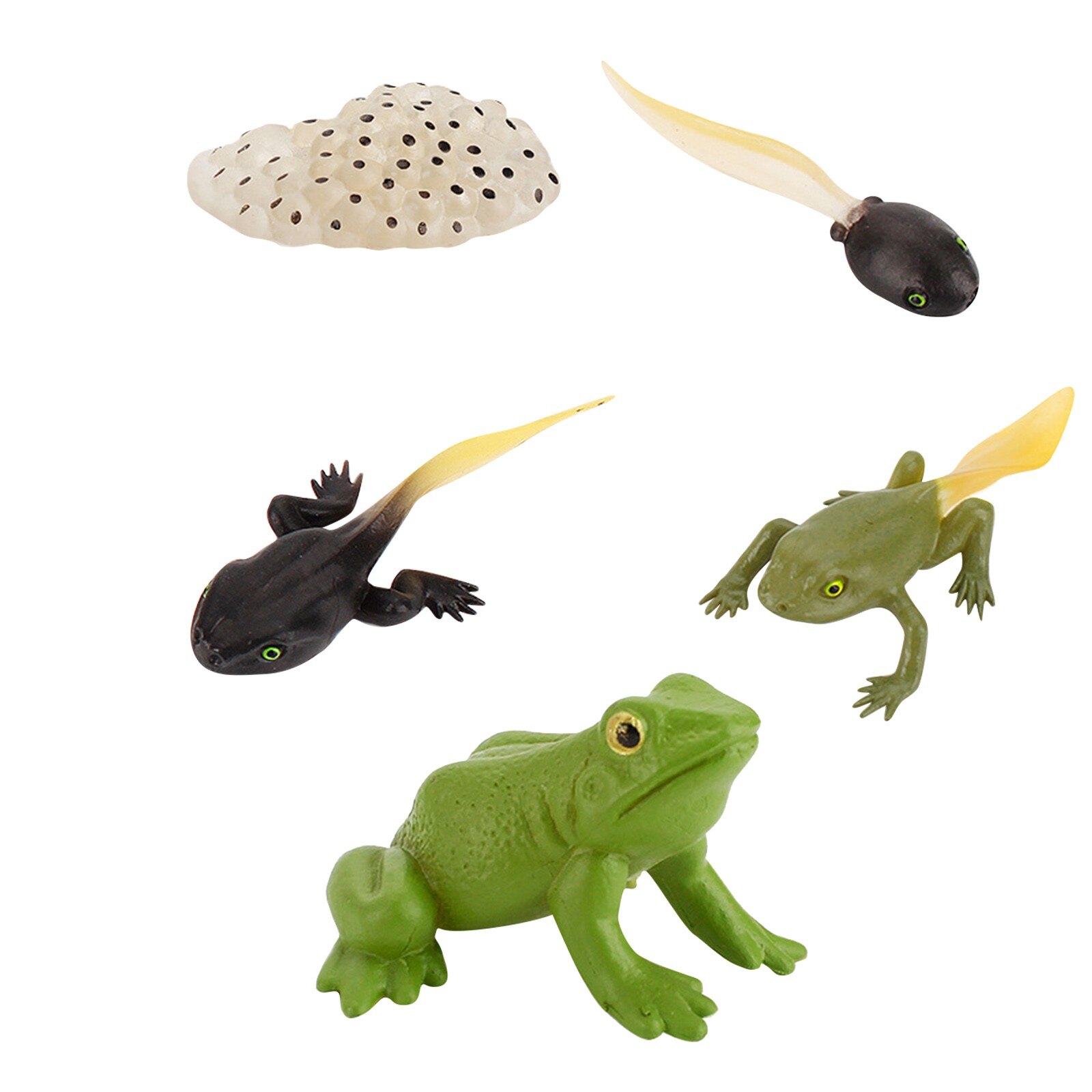 Animals Growth Cycle Life Cycle Model Set Frog Ant Mosquito Sea Turtle Simulation Model Action Figures Teaching Material: B