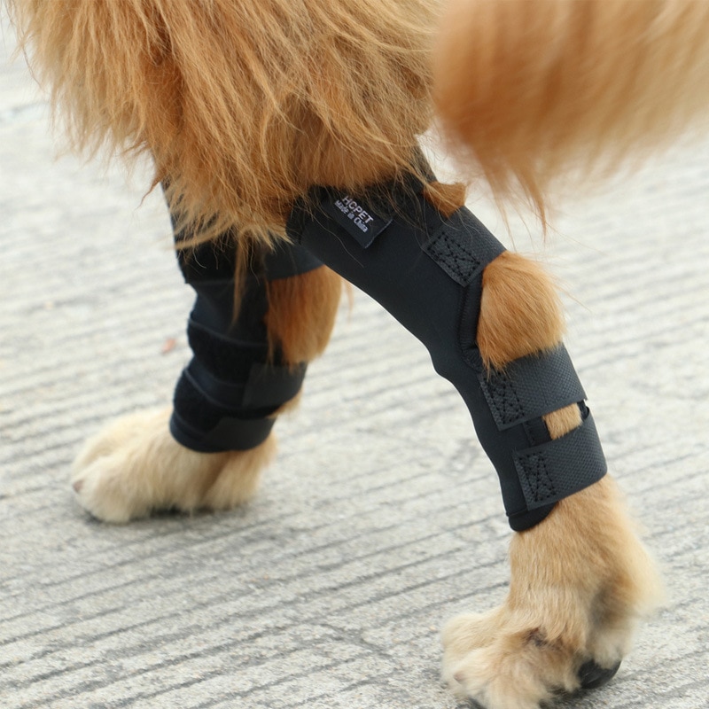 Huisdieren Artikelen Warmte Verkoop Kneepad Hond Leggings Huisdieren Beschermende Kleding Bediening Beschermen Schede