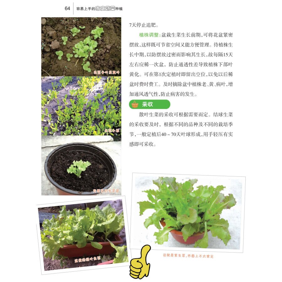 Easy to use household vegetable planting Book