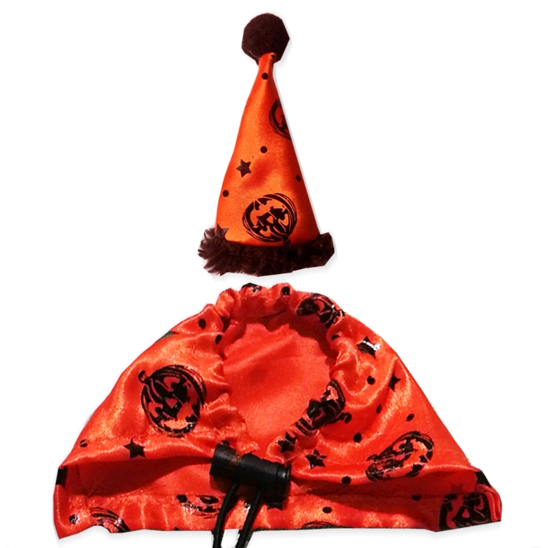 Conjunto de disfraz de lagarto ajustable, sombrero de Halloween de dragón barbudo y capa naranja con estampado de calabaza, suave y cómodo