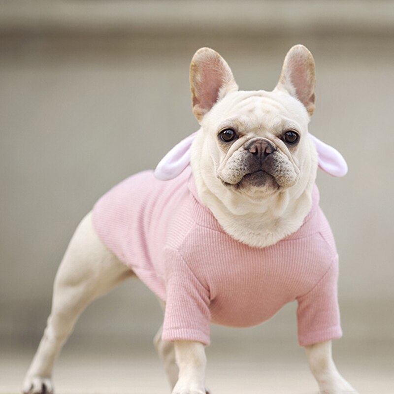 Cute Rabbit Ear Pet Dog Clothes For Small Dogs Coat Winter Dog Hoodie Puppt Cat Clothing For Dogs Costume Pet Outfits Ropa Perro
