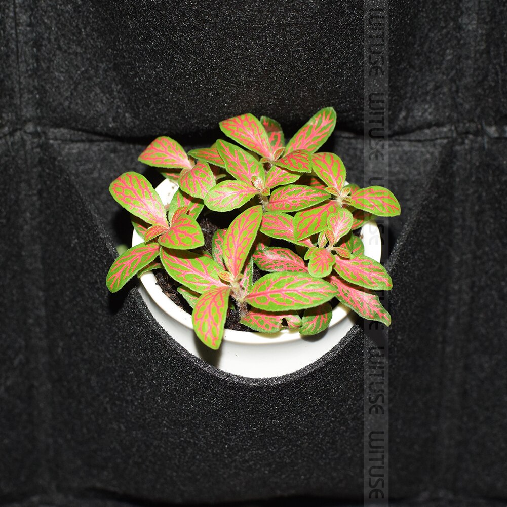 36 72 Pockets Planting Bags Pot Black Hanging Vertical Wall Garden Planter Flower Home Indoor Outdoor Balcony Gardening pocket