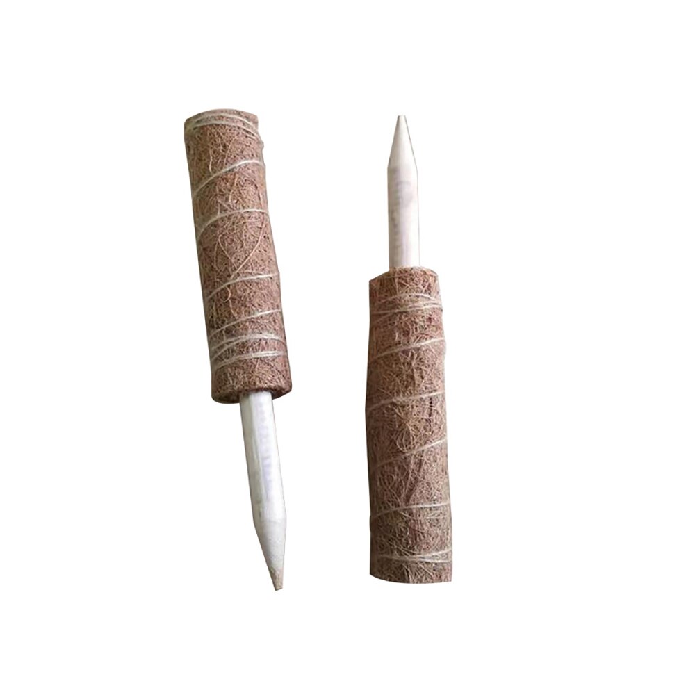 Praktische Garten Anlage Klettern Stick Anlage Klettern Coconut Strut Grün Dill Unterstützung Pol