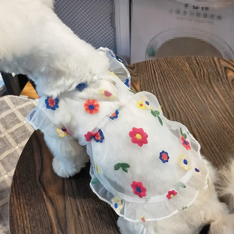 Robe transparente en Tulle pour filles, motif Floral, blanc, manches courtes, chiot, chat, caniche, jupe de princesse, Chihuahua, carlin, été