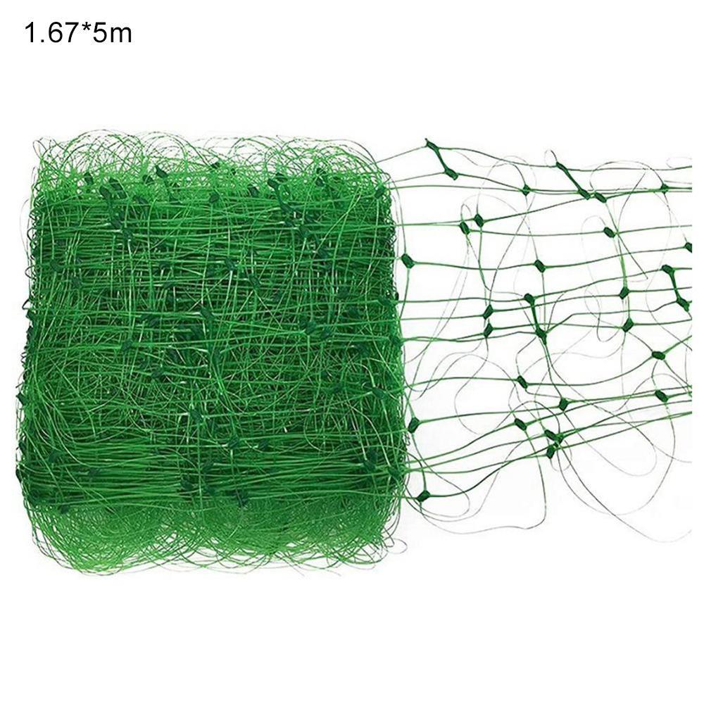 Malla de enrejado de plantas, Red de guisante ting, Red de jardín verde, malla de enrejado para frijoles, frutas, verduras, plantas trepadoras: 1.67x5m(100g)