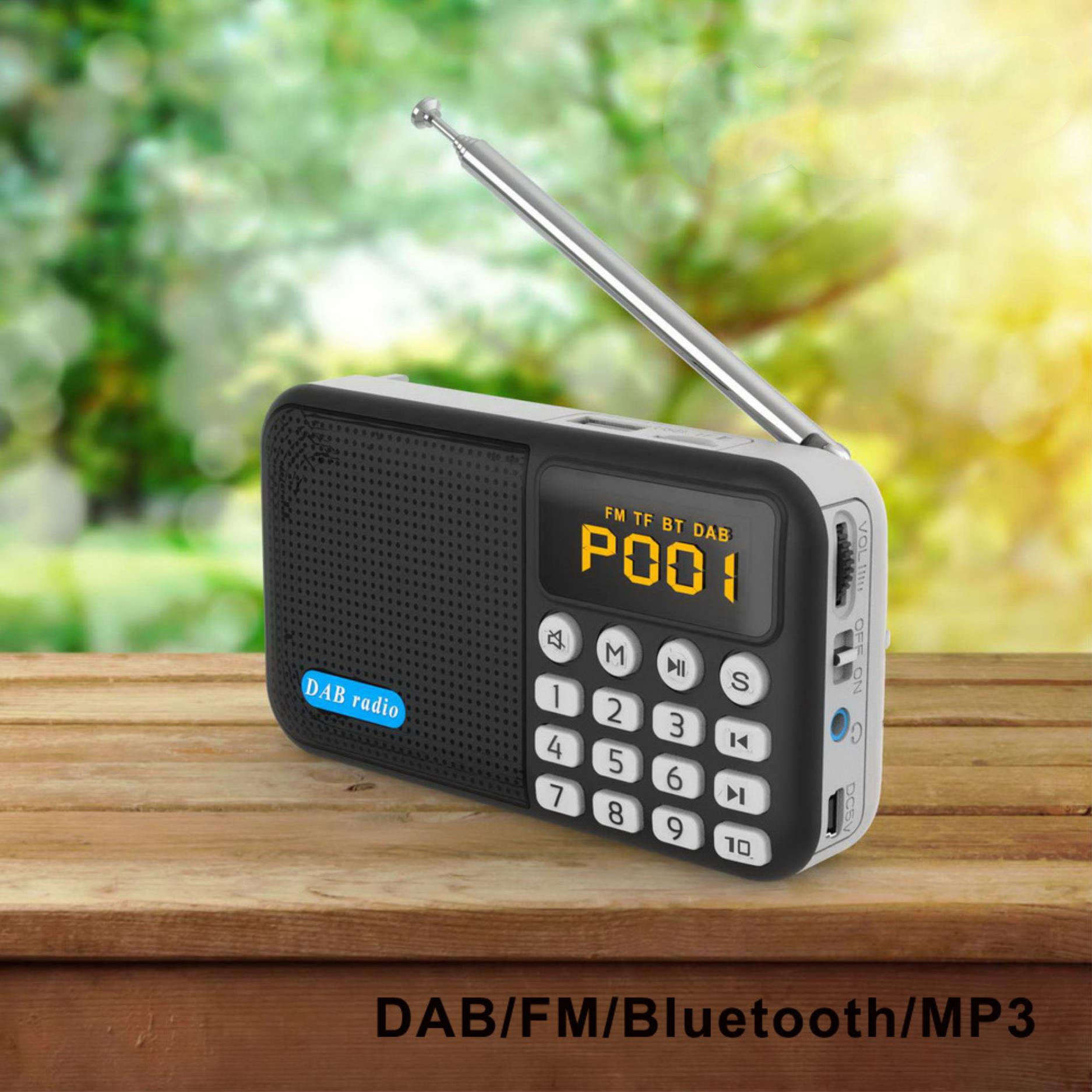 Dawupine Multifunctionele draagbare DAB digitale radio draagbare DAB radio Bluetooth MP3