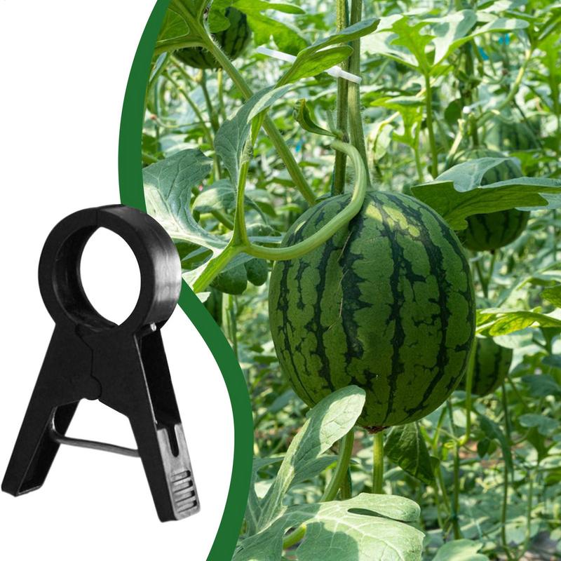 Clips para plantas trepadoras, 100 piezas, soporte para tallo de planta, Clips para orquídeas, suministros de jardinería, Clip para plantas trepadoras, reutilizable