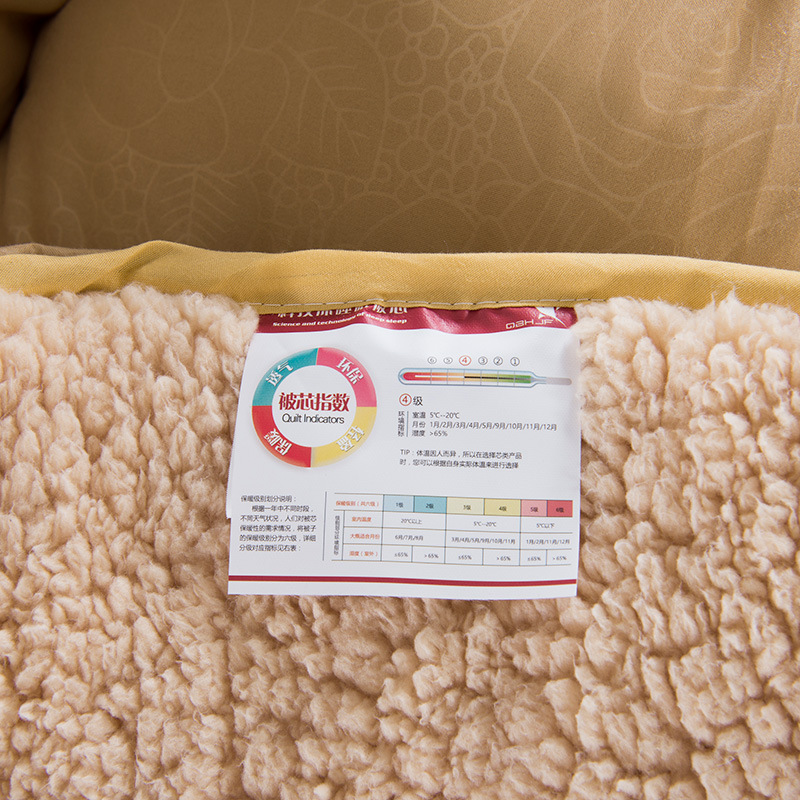 Winter Super Zachte Super Warm Lam Kasjmier Winter Quilt Verdikte Warm Quilt Kern Zijde Katoenen Dekbed Dubbele Winter quilt