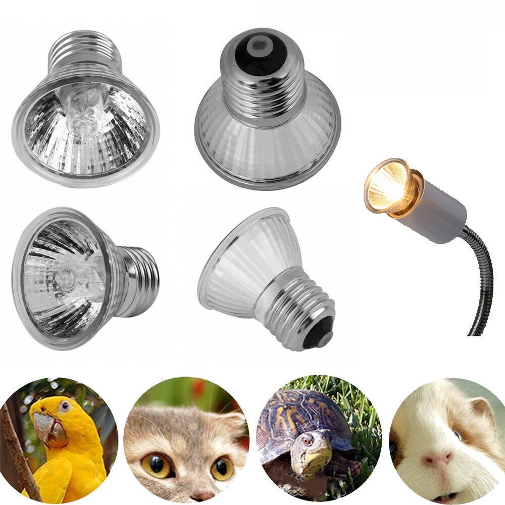 2 piezas 25-100W Uvb Reptile tortuga lámpara de calefacción de espectro completo fluorescente 110V luz solar suministros para mascotas