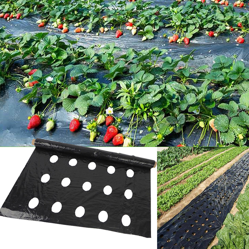 5 huller 95cm*50m 0.02mm sort havegrøntsagsmembran landbrugsplanter, der klipper såning af plast, perforeret pe-film