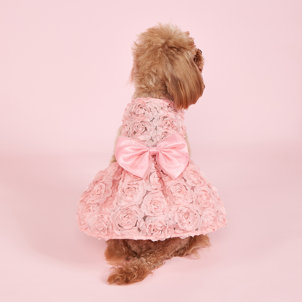 Vestido de princesa para perro, ropa de princesa con lazo rosa y flores bordadas, vestidos de primavera y verano para cachorros y mascotas