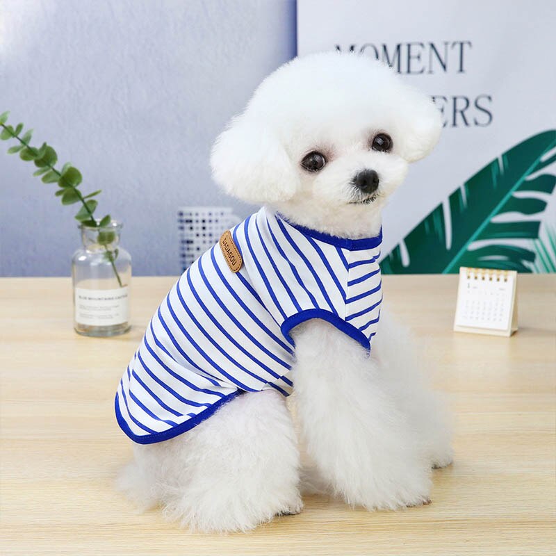 Cat Clothes Autumn Winter Pet Clothing For Small Cats Dogs Cotton Cat Costumes Soft Kitten Kitty Coat Jacket Puppy Outfit York: Blue / L