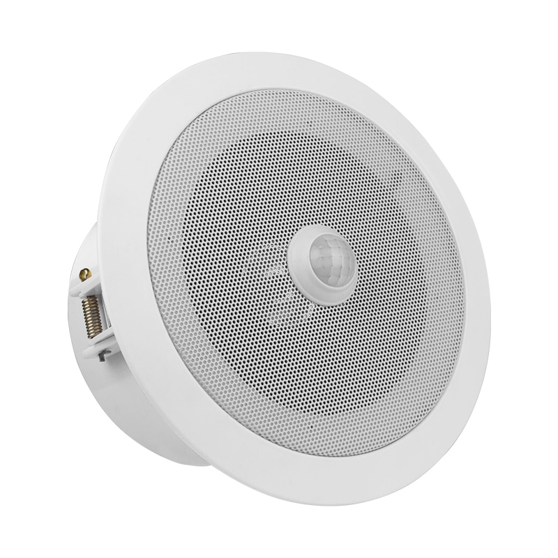 Overhead PIR Motion Sensor Geactiveerd Audiospeler Plafond Luidspreker Ingebouwde 10 Watt Versterker Grote Geluid